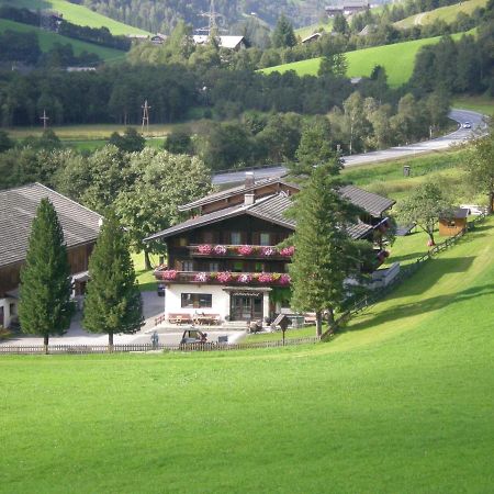 Schiederhof Villa Mittersill Dış mekan fotoğraf