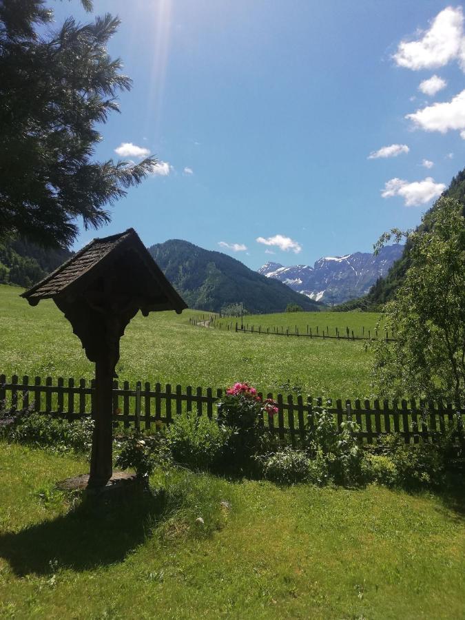 Schiederhof Villa Mittersill Dış mekan fotoğraf