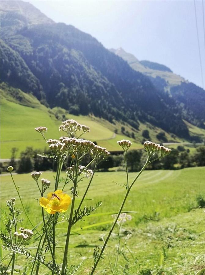 Schiederhof Villa Mittersill Dış mekan fotoğraf